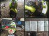 Pencuri Motor Scoopy Wilayah Kecamatan Simpang Empat Diringkus