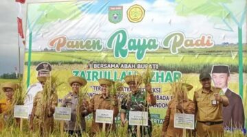 Tanah Bumbu Panen Raya Padi di Desa Manurung