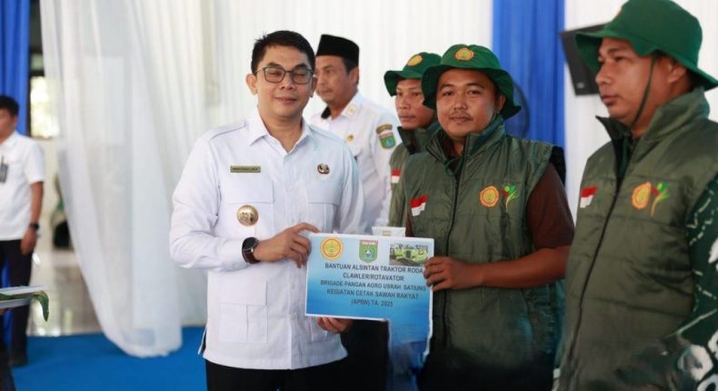 foto slider headline