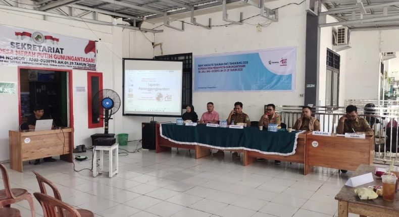 foto slider headline