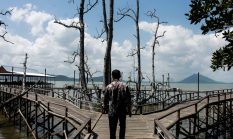 berita-pilihan-foto