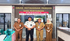 berita-pilihan-foto